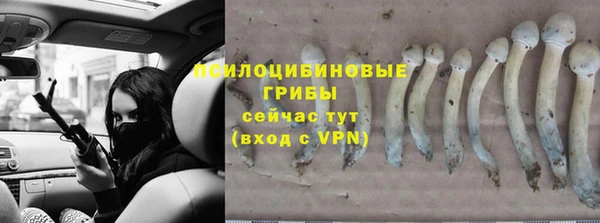молекула духа Баксан