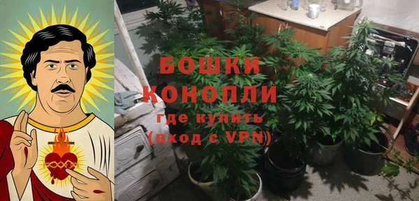 молекула духа Баксан