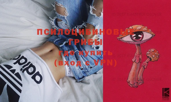 молекула духа Баксан