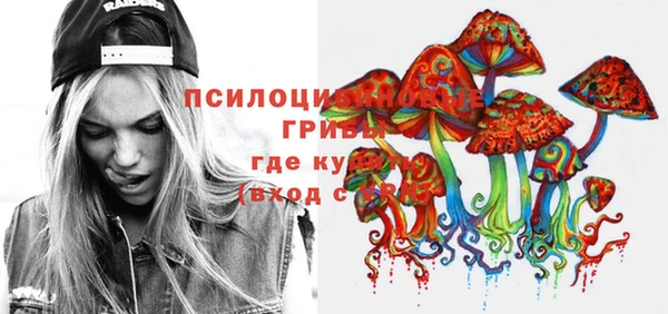 молекула духа Баксан