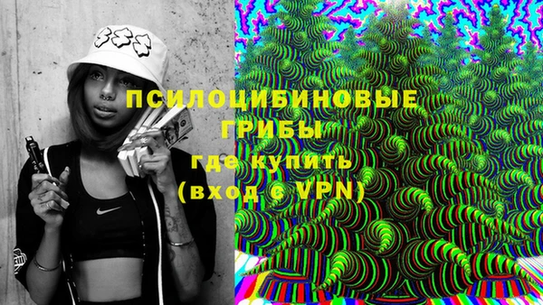 молекула духа Баксан